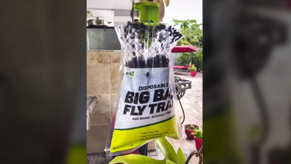 Esta Es La Eficaz Soluci n Para Acabar Con Las Moscas Que Vende Amazon