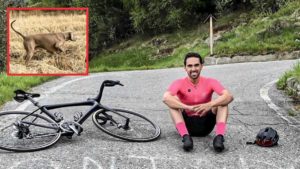 Alberto Contador sobre su braco cazando: «El animal más feliz del planeta»