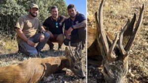Se estrena cazando corzos con un espectacular macho de 11 puntas en Guadalajara