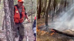 Un cazador de AEPES ayuda a apagar un incendio y choca contra un jabalí al volver a casa