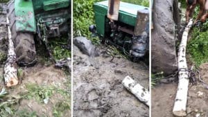 Truco infalible para sacar un vehículo atrapado en el barro: el vídeo que arrasa en TikTok