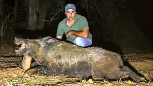 Caza en Badajoz un jabalí de 172 kilos, uno de los más grandes de Extremadura