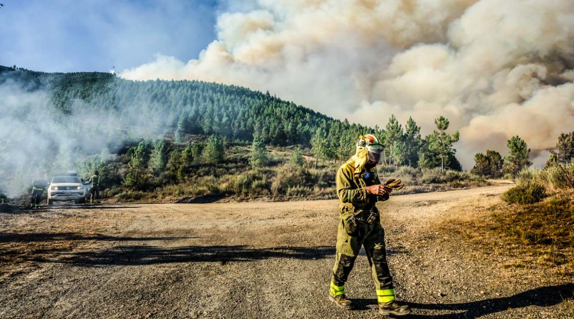Un bombero durante un incendio forestal en Galicia. ©Shutterstock