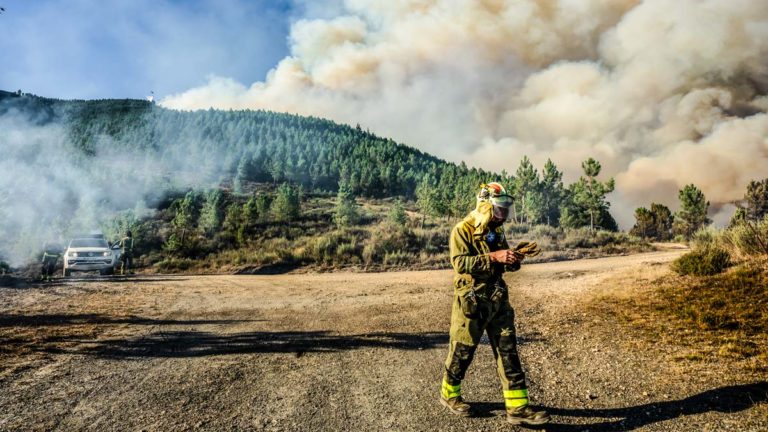 Un bombero durante un incendio forestal en Galicia. ©Shutterstock