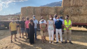Vox entrega 35.000 kilos de forraje a los ganaderos afectados por el incendio de Navalacruz