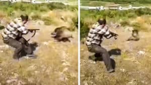 Un cazador dispara a tenazón a un jabalí que casi se lo lleva por delante