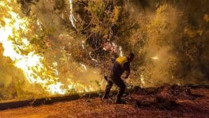 Muere un bombero en el incendio que ha arrasado ya más de 3.600 hectáreas en Málaga