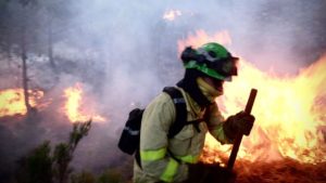 Los cazadores ya trabajan para recuperar Sierra Bermeja tras el incendio