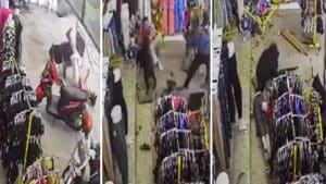 Un jabalí se cuela en una tienda y ataca a varias personas