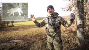 Los 10 trucos de Pedro Ampuero para colocar una cámara de fototrampeo en su coto de caza