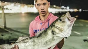 Un joven pesca una enorme lubina de más de 6 kilos en Santander