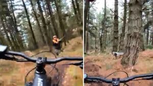 Un ciclista casi arrolla a un cazador de becadas y a su perro en mitad del monte