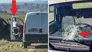 Furtivos de liebres destrozan el coche de un cazador que intentaba detenerlos en Madrid