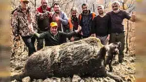 Un cazador español caza uno de los jabalíes más grandes del mundo: «Pesa 400 kilos»