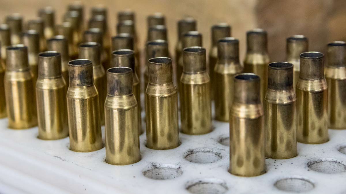 Caza mayor: ¿Cuáles son las balas de rifle más usadas en España?