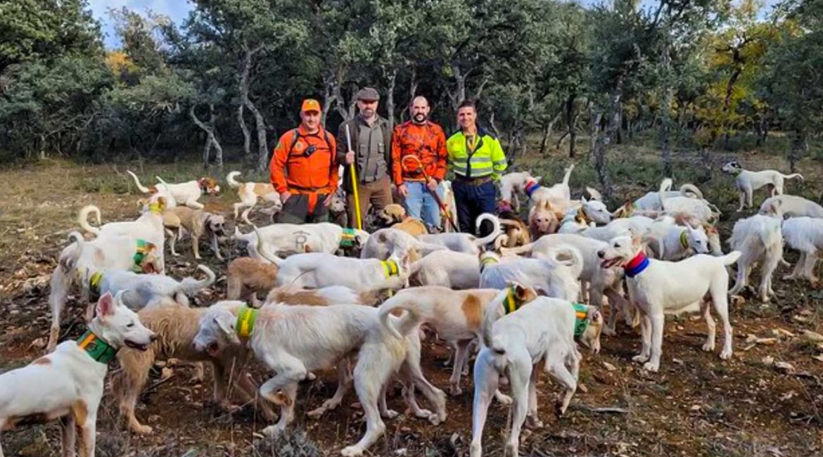 Santiago Abascal participa en una montería acompañando a los perros de caza