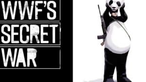 WWF acusada de engaño, encubrimiento y deshonestidad en el Congreso de los Estados Unidos