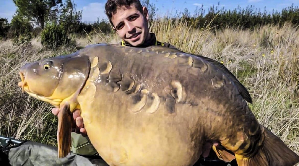 Pescan en Cáceres una de las carpas más grandes de 2021: pesaba 32 kilos