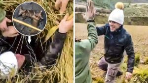 Dos podencos caen a una sima mientras estaban de caza: así fue el rescate