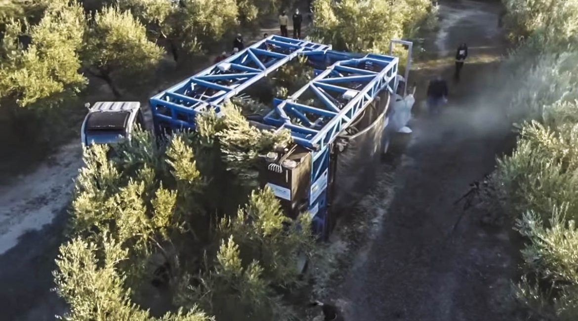 Diseñan un prototipo de cosechadora que es capaz de recolectar las aceitunas de un olivo en 40 segundos
