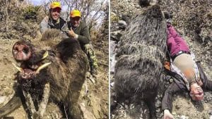 Lo más visto en 2021: Un cazador español abate uno de los jabalíes más grandes del mundo