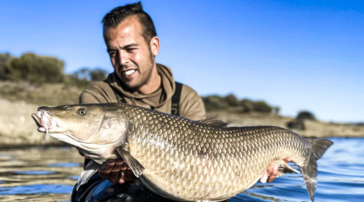 Pescan un barbo comizo de 12 kilos en Badajoz: «Esto sucede una vez entre un millón»