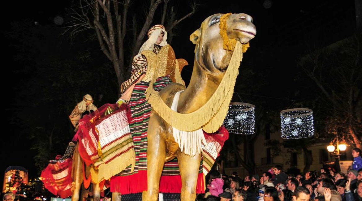 Lapidaria reflexión de un veterinario sobre la ausencia de animales en las cabalgatas de Reyes