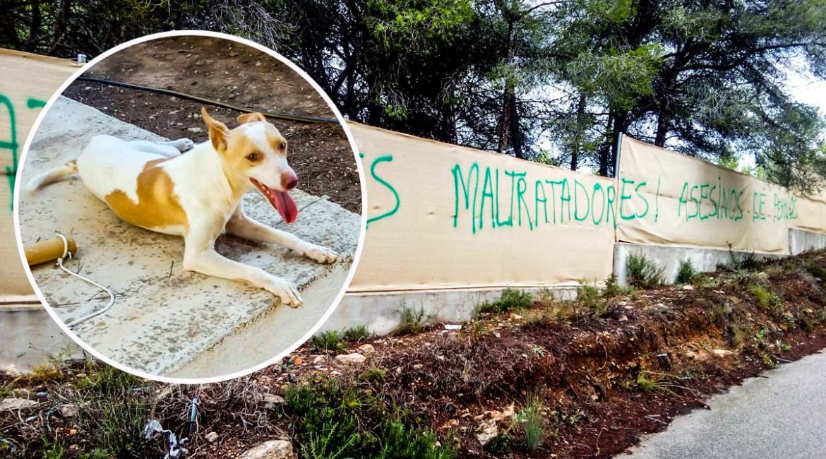 El calvario de un cazador de Alicante: tres años de acoso y siete perros robados por animalistas