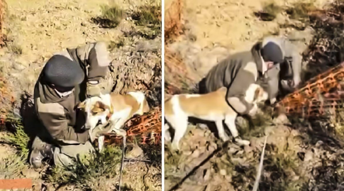 Tres cazadores de Huelva rescatan a un perro que cayó a un profundo pozo