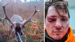 Un ciervo ataca y destroza la cara a un cazador mientras este lo graba todo