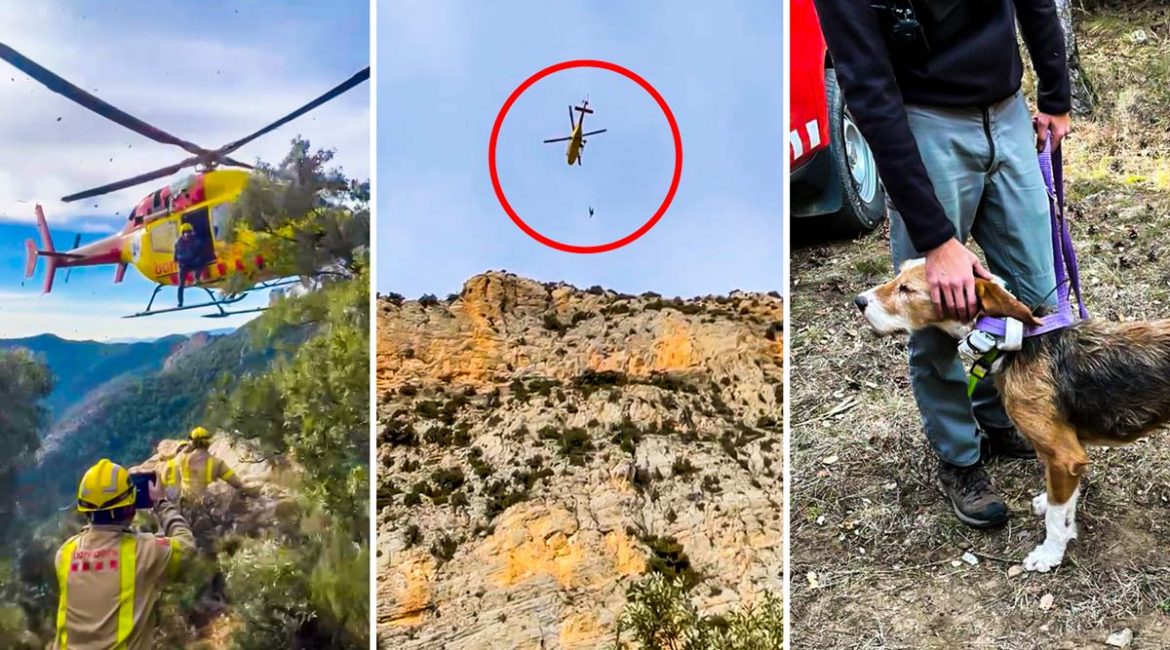 Así fue el rescate en helicóptero de un perro de caza atrapado en una sima cuando cazaba jabalíes