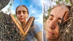 Una usuaria de TikTok anima a abrazar a los árboles después de podarlos: «Son seres almáticos»