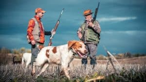 Así puedes presentar alegaciones al Anteproyecto de Ley de Derechos de los Animales que amenaza la caza