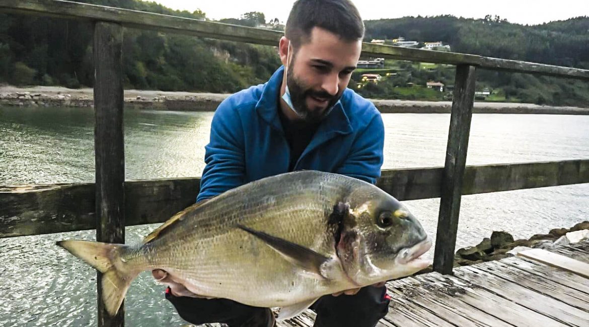 Pesca una enorme dorada de 6 kilos con una caña de carpfishing