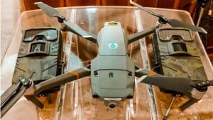 Un ayuntamiento de Valencia ayuda con un dron a los cazadores para frenar los daños de los jabalíes