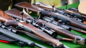 La Generalitat comprará 44 rifles de caza con visor a los agentes rurales para que cacen jabalíes