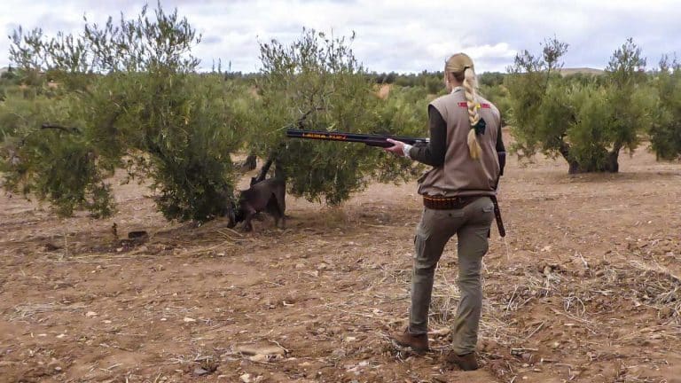 reglamento caza Castilla-La Mancha