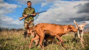 La importancia de la caza en la España vaciada: una actividad que genera 186.750 puestos de trabajo