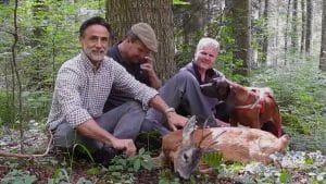 Corzos en celo en Alemania, el último vídeo de Pablo Ortega