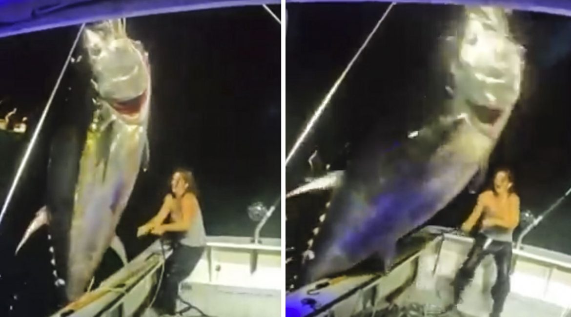 Una pescadora captura un atún descomunal que casi no entraba en su embarcación