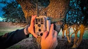 Esta cámara de fototrampeo con wifi es perfecta para la caza del jabalí en espera (y vale menos de lo que piensas)