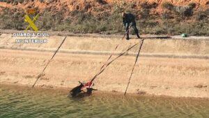 La Guardia Civil rescata a un corzo a punto de morir en el canal del trasvase Tajo-Segura