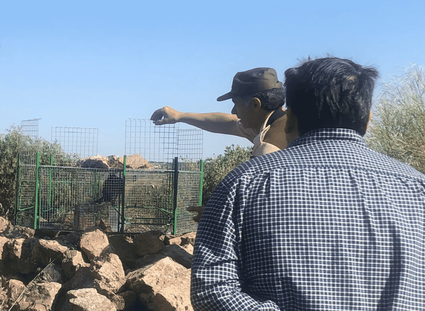 ¿Cómo influye el control de predadores