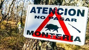 Así se castiga a los anticaza en Francia: 1.000 € de multa por destruir las señales de una batida de jabalí