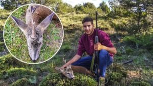 Cazan un peculiar corzo 'unicornio' en un coto de Guadalajara