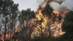 Récord de incendios forestales en España: ya van 1785 y continúa el riesgo extremo