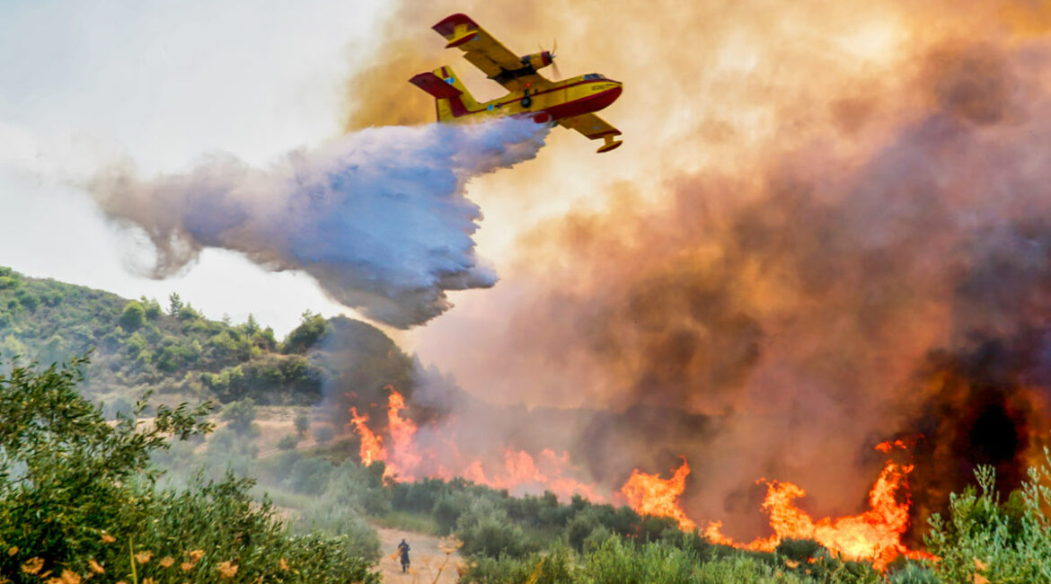 Los cazadores españoles invierten 54 millones de euros al año que ayudan a evitar y extinguir incendios
