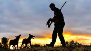 Estas son las consecuencias que la ley animalista del Gobierno tendrá para la caza en España