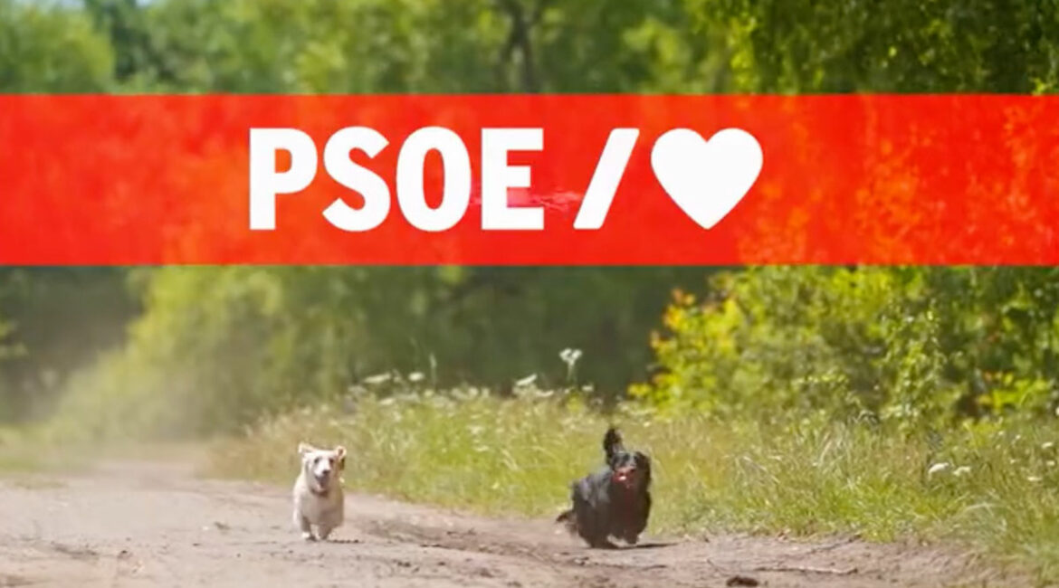 Imagen difundida por el PSOE celebrando la ley animalista.