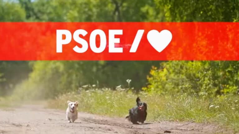 Imagen difundida por el PSOE celebrando la ley animalista.